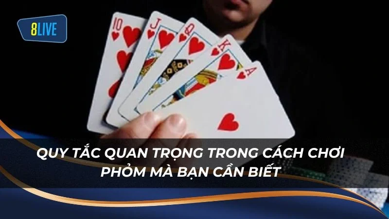 Quy tắc quan trọng trong cách chơi phỏm mà bạn cần biết